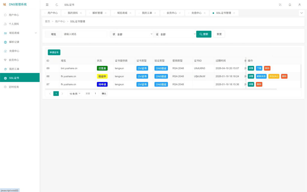 DNS 多级域名分发系统源码 二级域名智能分发平台完整版插图2