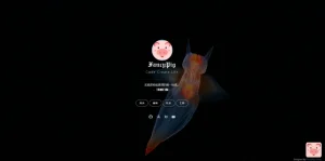 九款超级好看的个人主页html源码 - 博客侠