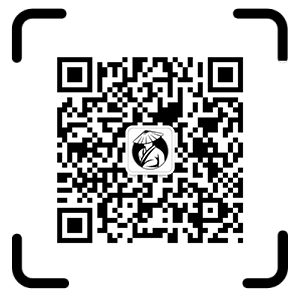 微信公众号 - 博客侠